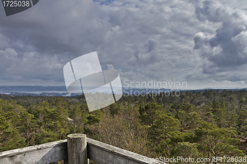 Image of view over forest with cloudy sky