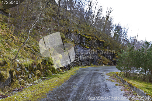 Image of run-down road in rural landscape