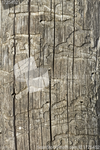 Image of Old wooden damaged surface