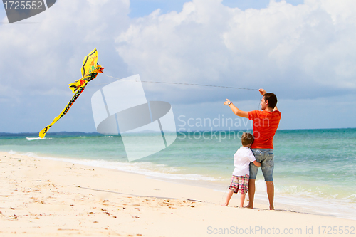 Image of Father and son flying kite