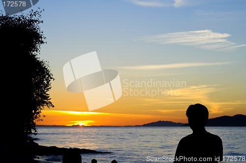 Image of silhouette