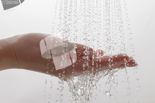 Image of Water from Shower Drops on Palm