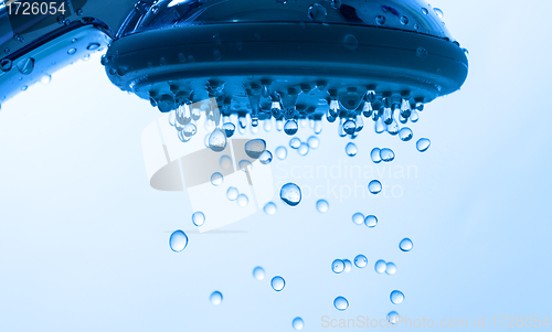Image of Shower Head with Droplet Water