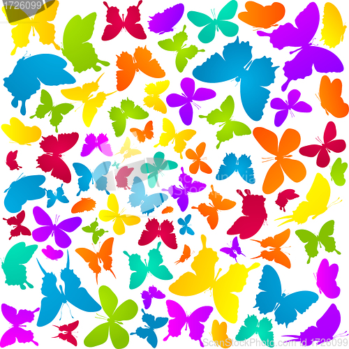 Image of Butterflies in colors