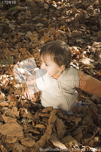 Image of toddler playing in leaves