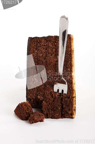 Image of piece of tasty chocolate cake isolated