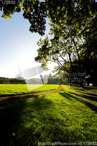 Image of path