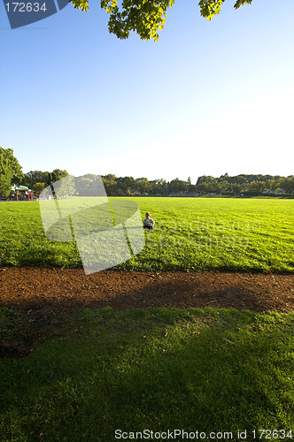 Image of alone in a field