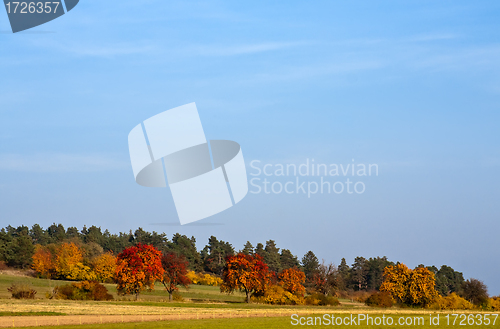 Image of Autumn Scenery