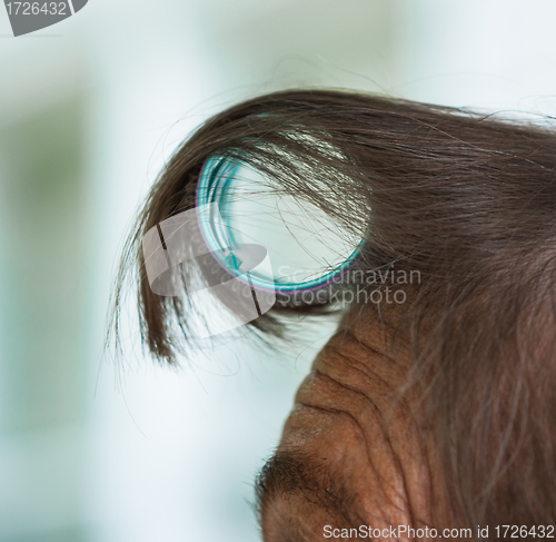 Image of Hair Curler On Forehead