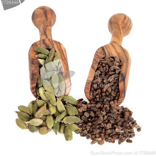 Image of Cardamom Pods and Seeds