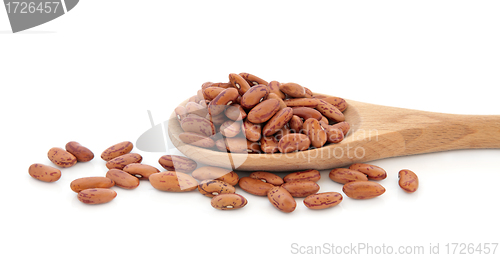 Image of Pinto Beans