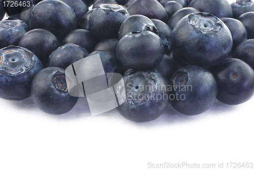 Image of Blueberries close up