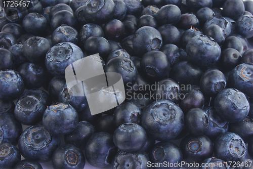 Image of Lots of blueberries