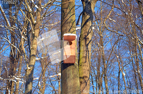 Image of Large wooden nesting-box hanging on tree blue sky 