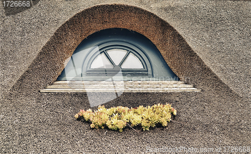 Image of Retro thatched roof