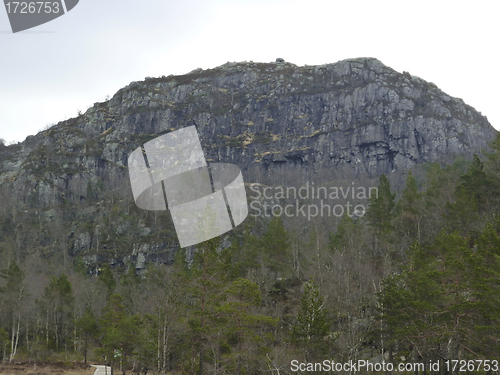 Image of mountain with forest