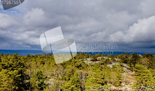 Image of view over forest with cloudy sky