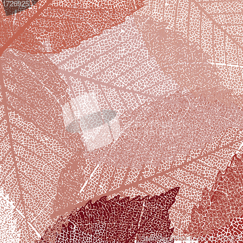 Image of Dry autumn leaves template. EPS 8