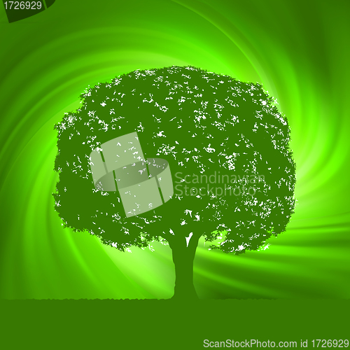 Image of Abstract Swirly Tree nature template. EPS 8