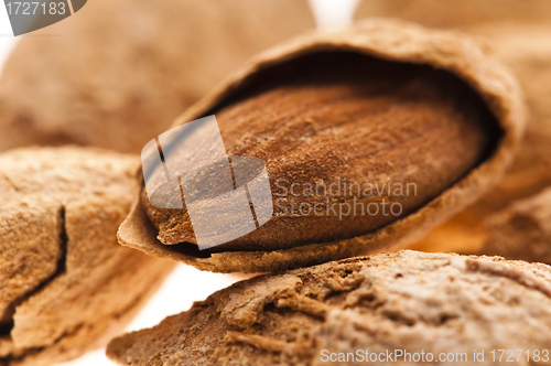Image of Sweet almonds with kernel 