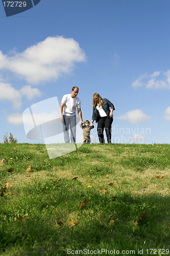 Image of family walking on field