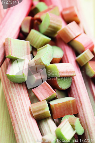 Image of fresh rhubarb