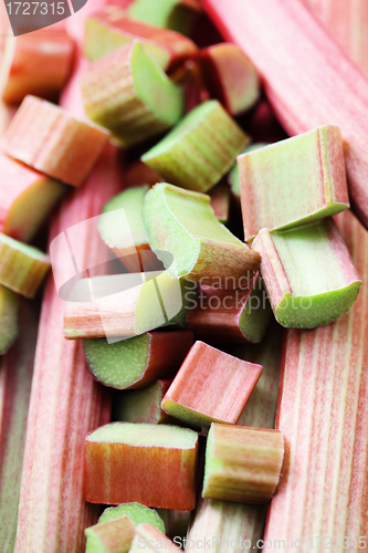 Image of fresh rhubarb