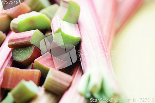 Image of fresh rhubarb