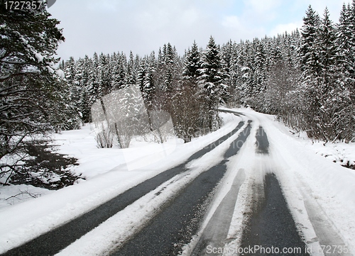 Image of Winter road