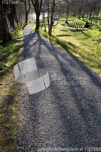 Image of Summer walk