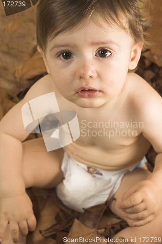 Image of baby  sitting on leaves