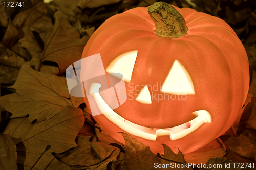 Image of pumpkin