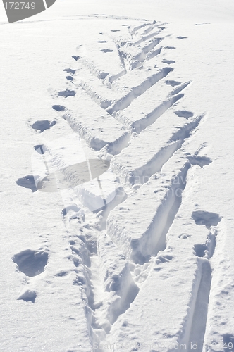 Image of Ski tracks in powder snow