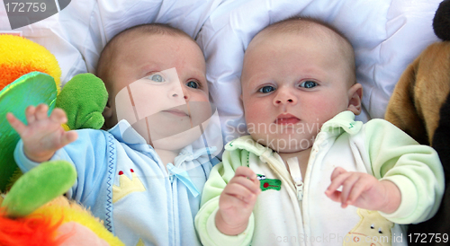 Image of Two baby boys twin brothers