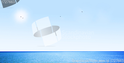 Image of Blue sky, ocean and flaying birds