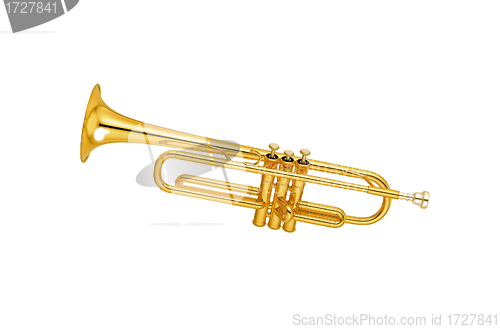 Image of Golden trumpet isolated