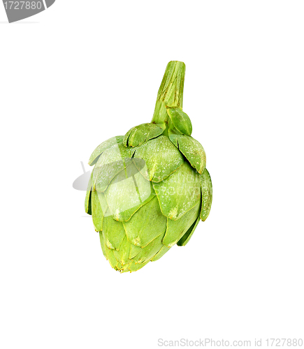 Image of Ripe green artichoke vegetable isolated
