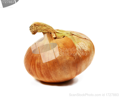 Image of Ripe onion isolated