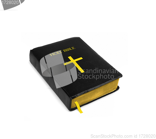 Image of Bible on white background