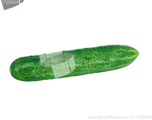 Image of Cucumber isolated