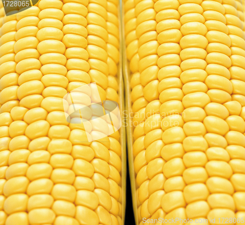 Image of close-up corn