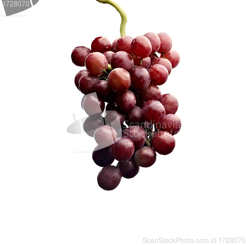 Image of Close up of a cluster of red grapes