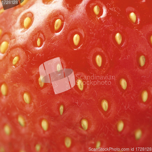 Image of extreme macro red strawberry