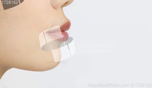 Image of Beautiful female lips