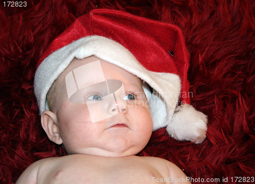 Image of xmas