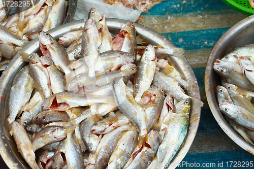 Image of Fresh fishes in market