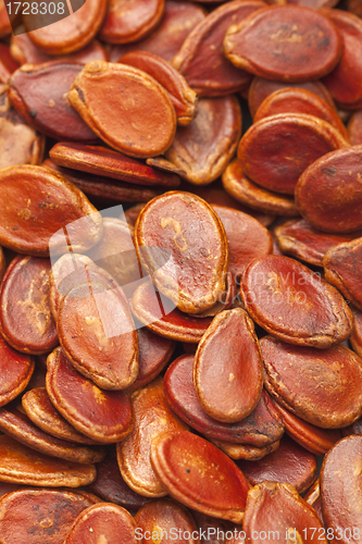 Image of Red melon seeds in dry condition