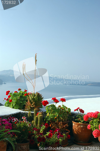 Image of flowers in pots over sea