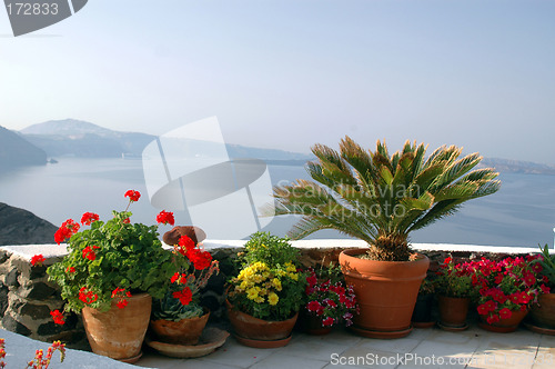 Image of flowers in pots over sea